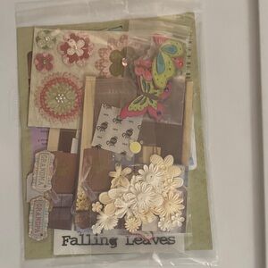 Craft Embellishment Kit with Flowers and Butterfly